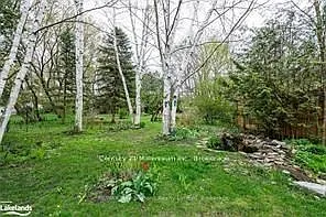 435 Napier St #B — Photo 6