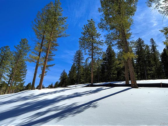 4th image of 20606 Swaying Pine Drive LOT 6