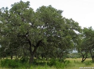 193 Red Tail Cv, Spring Branch, TX 78070