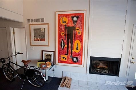 Wood Burning Fireplace