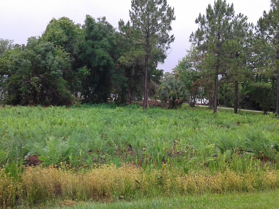 2nd image of 0 E Jasmine Ave
