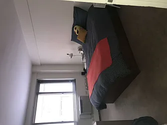 Rented by Shany Landmarks LLC