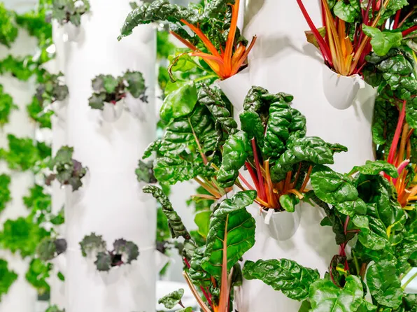 35 Morris Street image 30 of 30