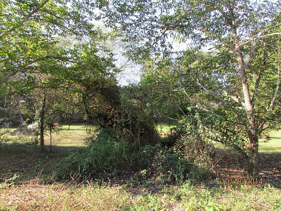3rd image of 155 Laura Ln