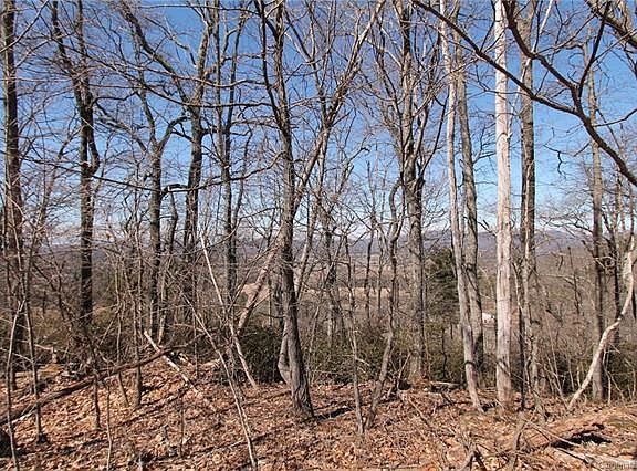 5th image of 0 Tbd Eagles Eye Dr