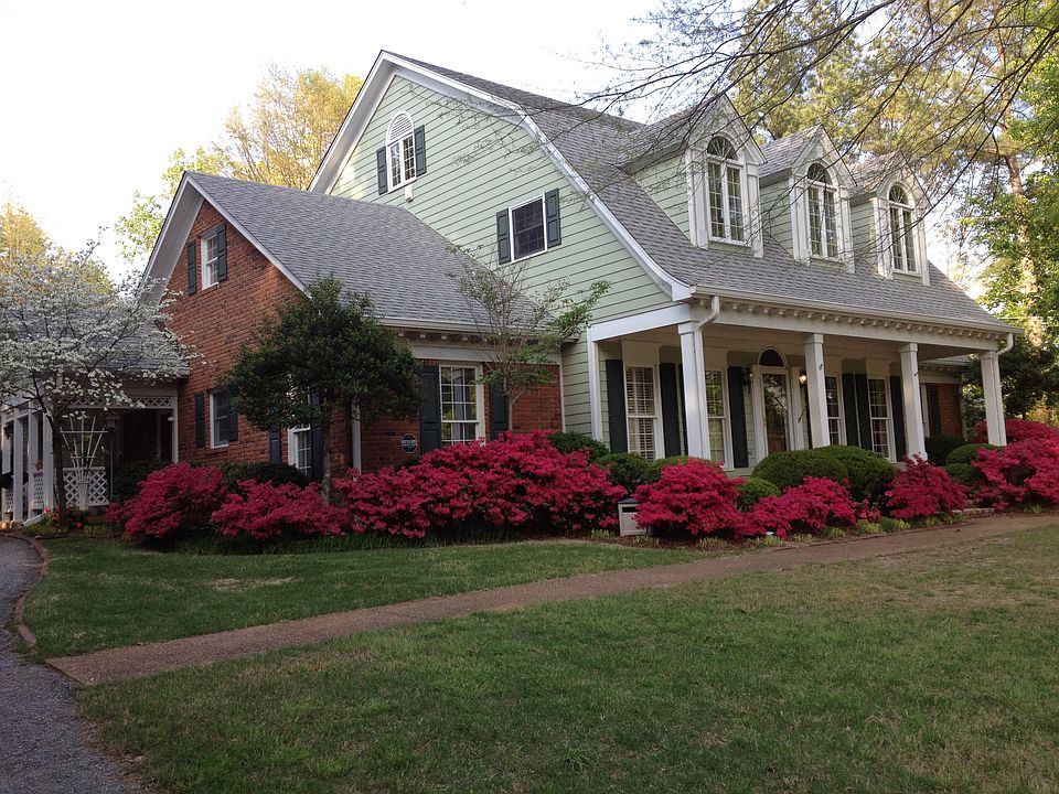 Springtime Azaleas