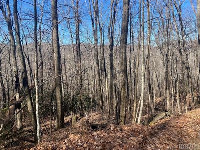 TBA Taylor Creek Road, Cullowhee, NC, 28723