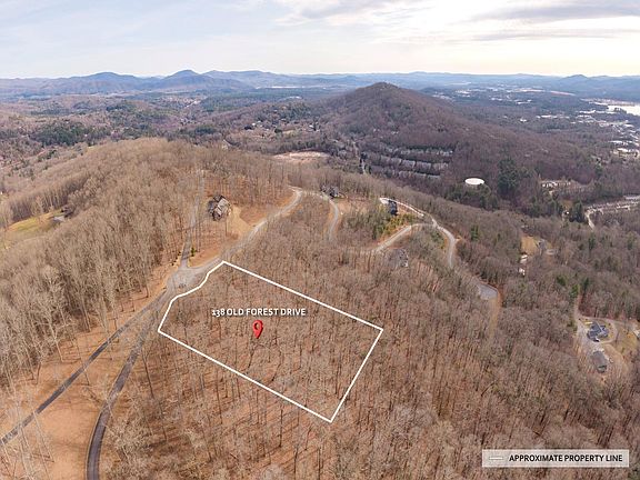 2nd image of 138 Old Forest Dr