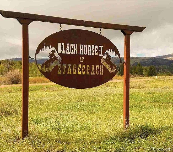 2nd image of Lot 1 Black Horse II