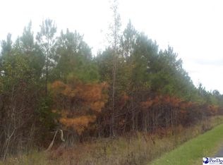 Bradley Rd, Bennettsville, SC 29512