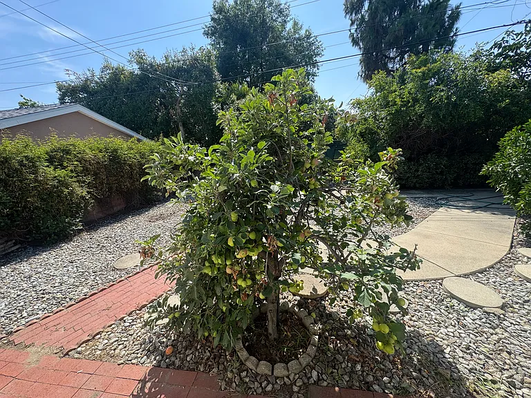 1919 Bridgeport Ave — Photo 10
