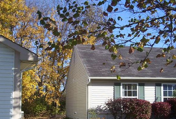 4th image of 7724 Blue Willow Dr