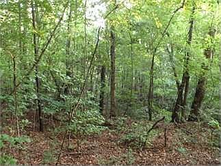 5th image of 1022 Dogwood Trl