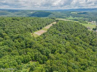 Zaner Bridge Rd, Orangeville, PA 17859