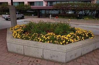 4th image of 350 Revere Beach Blvd #P213k