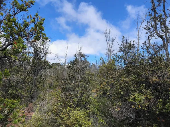 Ocean View Pkwy Lot 31, Ocean View, HI 96737
