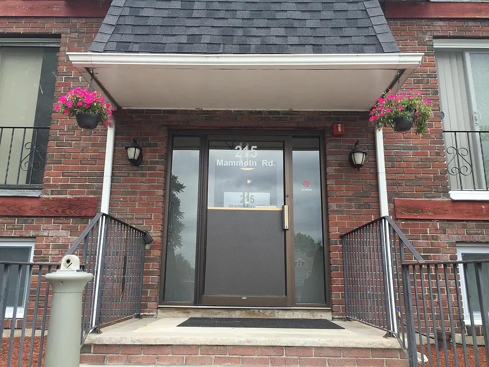215 Mammoth Rd #10