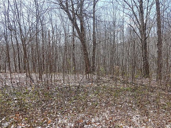 3rd image of 11.2 Alpine Dr
