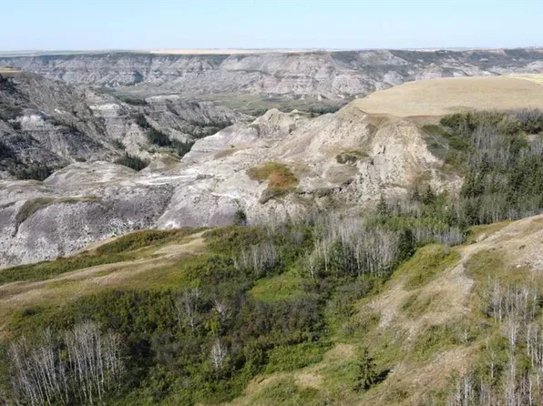 340044 E Range Road 215, Starland County, AB T0J 2Y0