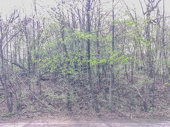 4th image of Lt1 THOMA PARK DRIVE