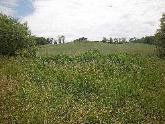 5th image of Carsonville Road