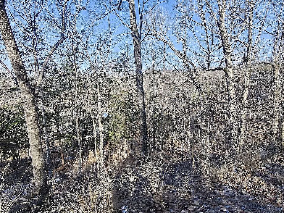 2nd image of Whitetail Ln Lot 3