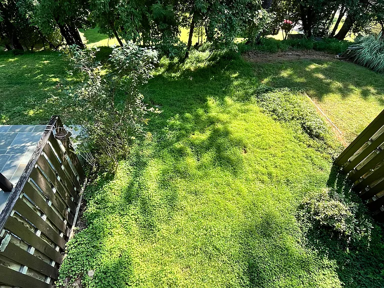 back yard