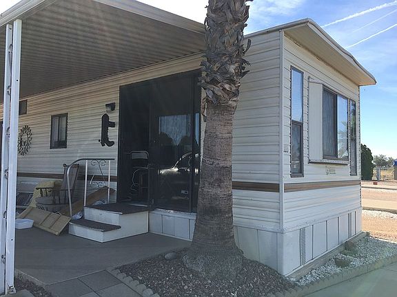 Mature palm at your doorstep