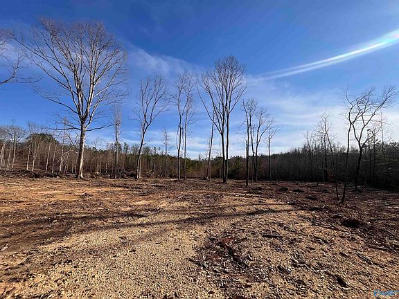 4th image of 5.16 State Highway 117