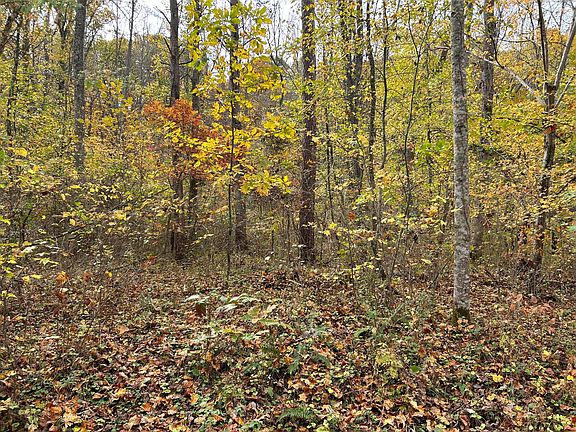 4th image of 70 Millstone Rd