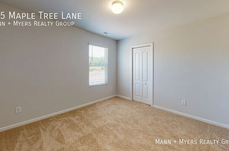 135 Maple Tree Ln — Photo 43