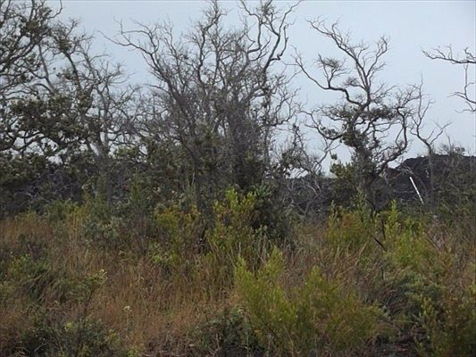 1st image of Lot 32