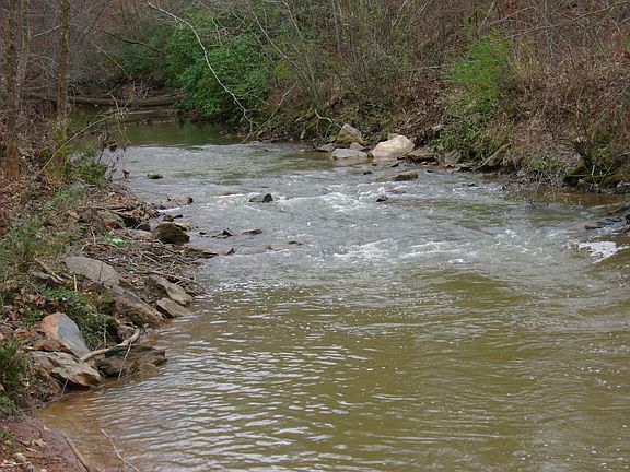 River in the front yar