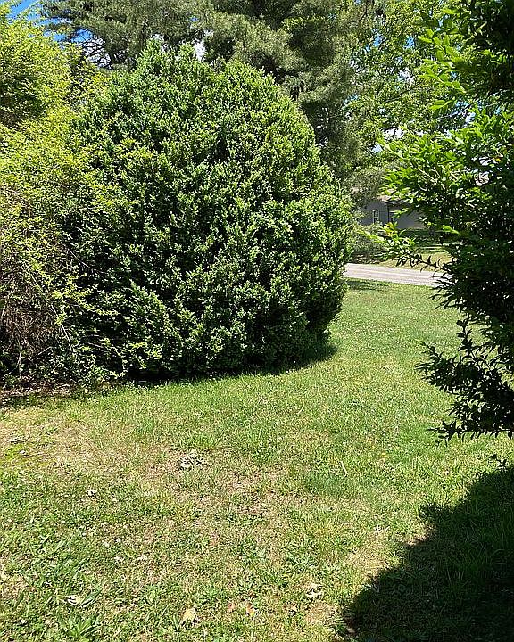 2nd image of 0 Sequoyah Ln