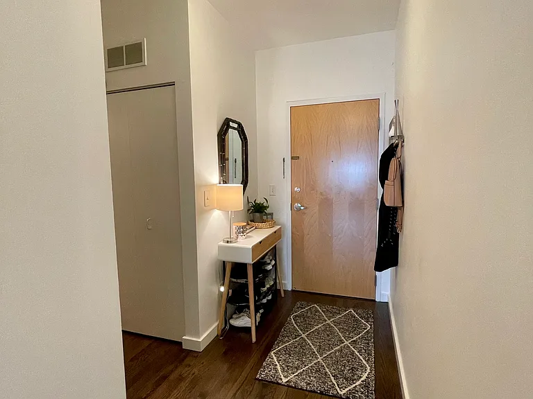 1720 S Michigan Ave #2504 — Photo 8
