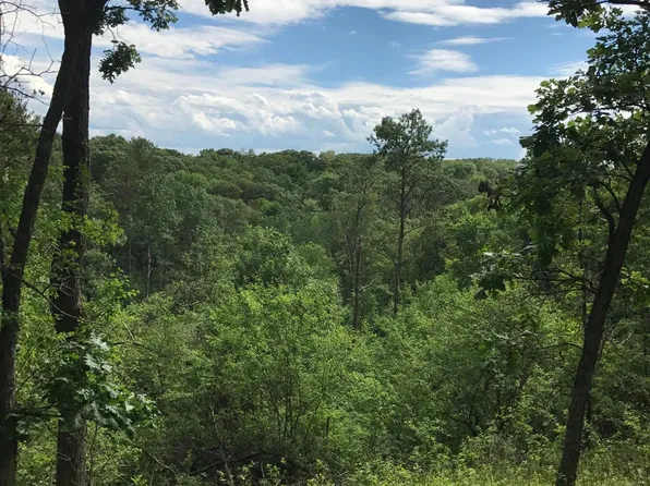 Xxx Tanglewood Ln, Marine On Saint Croix, MN 55047