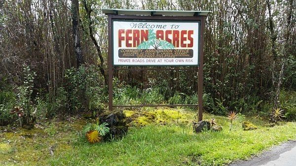 1st image of Lehua & Orchid Lot 7099