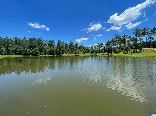 0 Chelsea Farms Rd #24, Chelsea, AL 35043