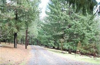 2nd image of 6011 Traverse Creek Rd