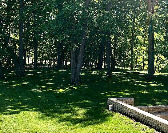 Spacious Backyard