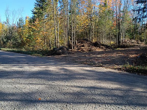 5th image of 160 Peeksville Rd