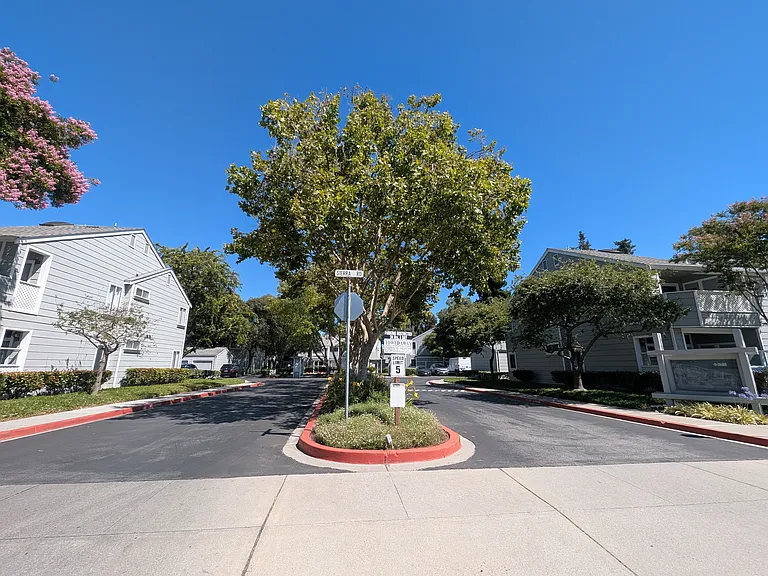 1573 Thornbriar Dr — Photo 17