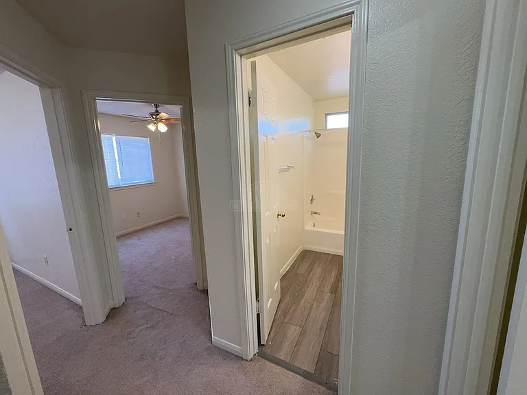 3804 Water Oak Dr — Photo 12