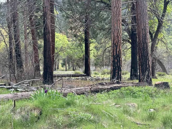 6120 Diamond Mountain Rd, Taylorsville, CA 95983