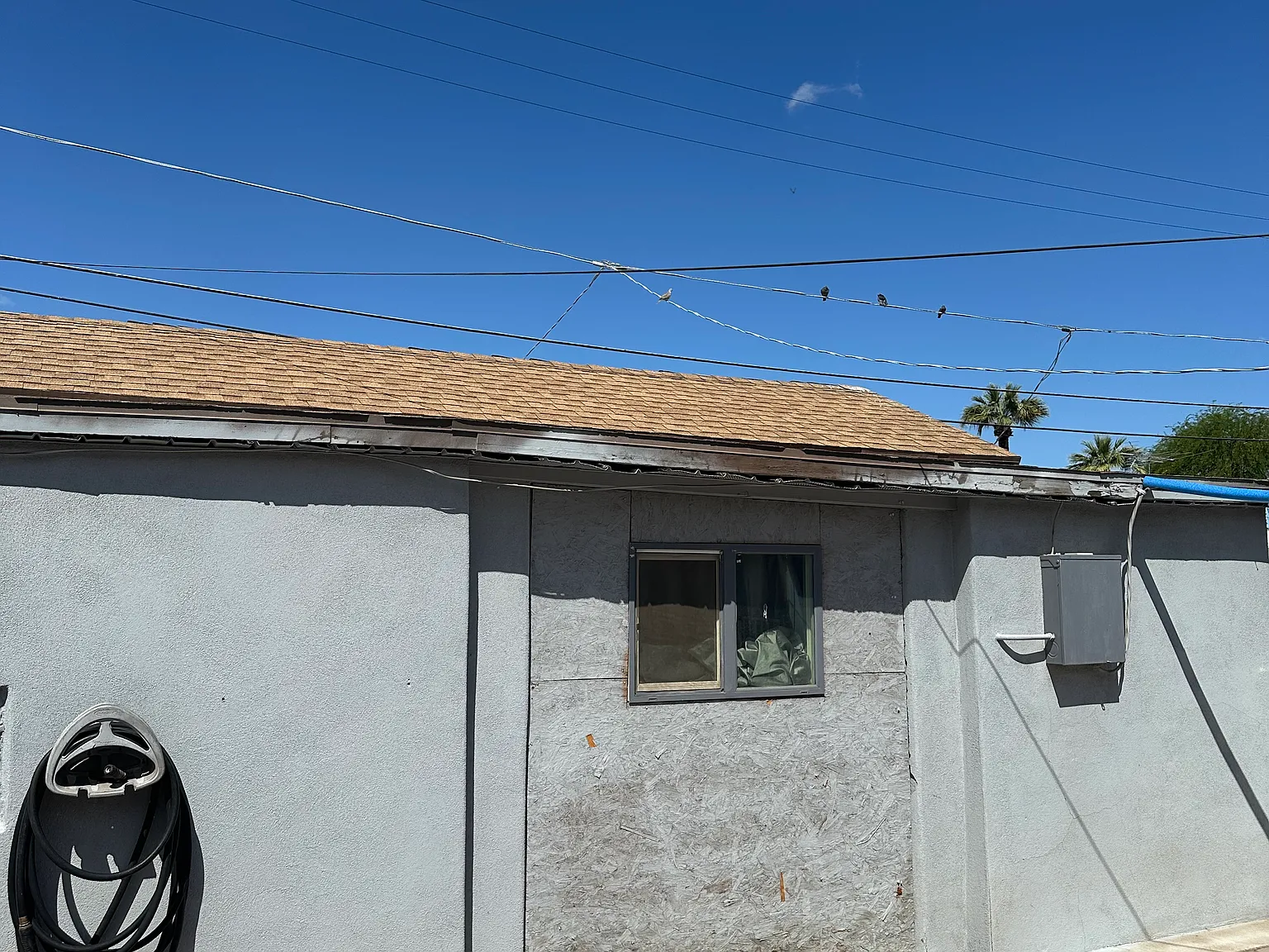 Studio, 800 sqft, $1,200 — Photo 2