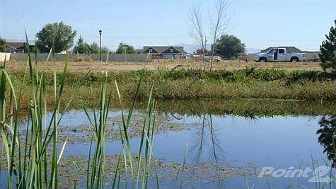DSC02206