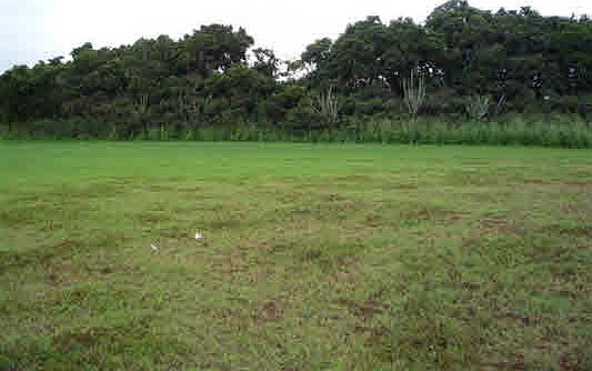 4th image of Pau A Laka St Lot 189