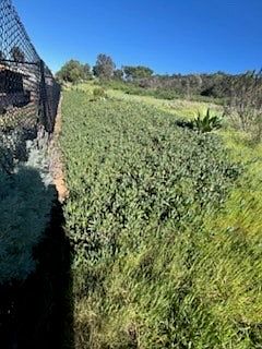 5th image of 266 S Carmel Rd