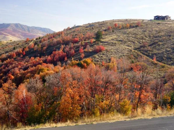 6535 E Chaparral Rd, Huntsville, UT 84317
