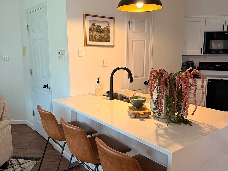 1609 Forest Springs Ln #B — Photo 6
